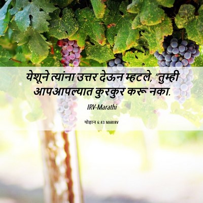 Picture 06 - योहान 6:43 MARIRV - येशूने त्यांना - Bible Verse Picture