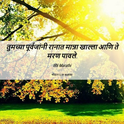 Picture 06 - योहान 6:49 MARIRV - तुमच्या - Bible Verse Picture