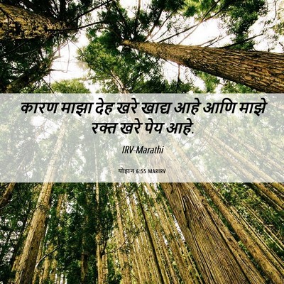 Picture 06 - योहान 6:55 MARIRV - कारण माझा देह खरे - Bible Verse Picture
