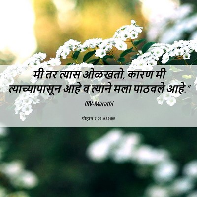 Picture 06 - योहान 7:29 MARIRV - मी तर त्यास ओळखतो, - Bible Verse Picture