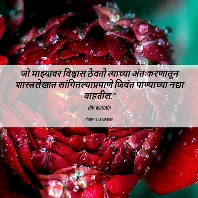Picture 06 - योहान 7:38 MARIRV - जो माझ्यावर - Bible Verse Picture