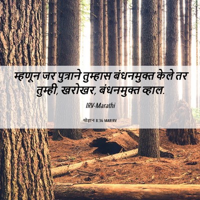 Picture 06 - योहान 8:36 MARIRV - म्हणून जर - Bible Verse Picture