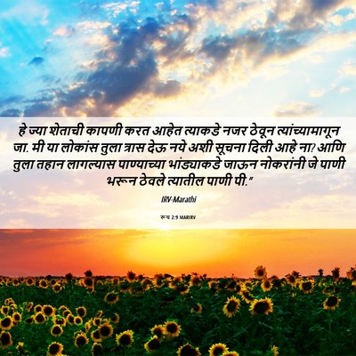 Picture 06 - रूथ 2:9 MARIRV - हे ज्या शेताची - Bible Verse Picture