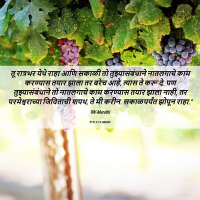 Picture 06 - रूथ 3:13 MARIRV - तू रात्रभर येथे - Bible Verse Picture