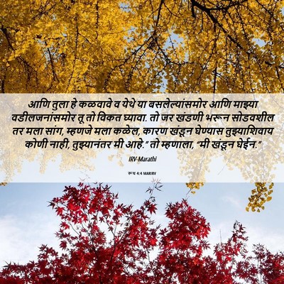 Picture 06 - रूथ 4:4 MARIRV - आणि तुला हे कळवावे - Bible Verse Picture