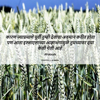 Picture 06 - रोमकरांस 11:30 MARIRV - कारण ज्याप्रमाणे - Bible Verse Picture