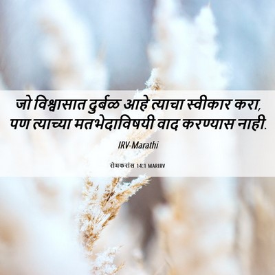 Picture 06 - रोमकरांस 14:1 MARIRV - जो विश्वासात - Bible Verse Picture