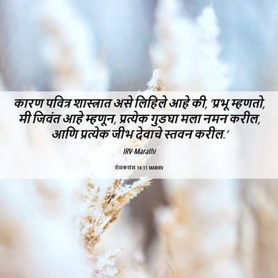 Picture 06 - रोमकरांस 14:11 MARIRV - कारण पवित्र - Bible Verse Picture