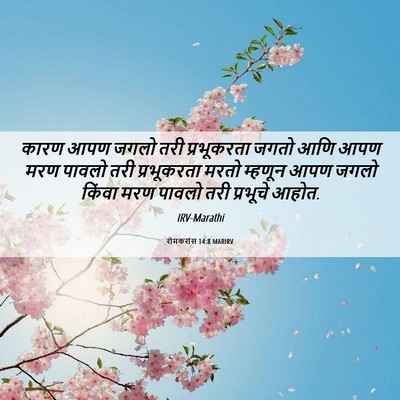 Picture 06 - रोमकरांस 14:8 MARIRV - कारण आपण जगलो तरी - Bible Verse Picture