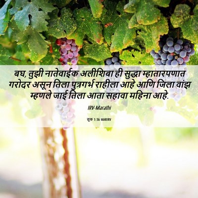 Picture 06 - लूक 1:36 MARIRV - बघ, तुझी नातेवाईक - Bible Verse Picture