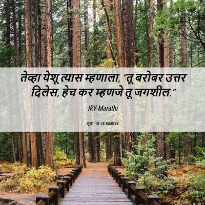 Picture 06 - लूक 10:28 MARIRV - तेव्हा येशू त्यास - Bible Verse Picture