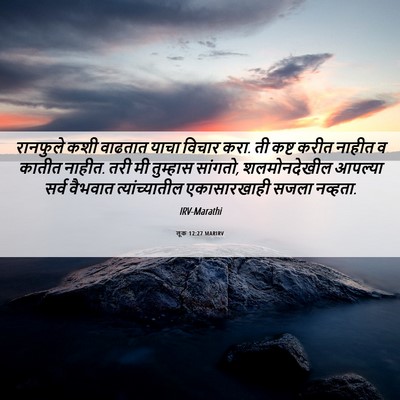 Picture 06 - लूक 12:27 MARIRV - रानफुले कशी - Bible Verse Picture