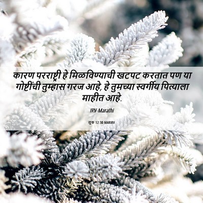 Picture 06 - लूक 12:30 MARIRV - कारण परराष्ट्री - Bible Verse Picture