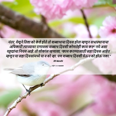 Picture 06 - लूक 13:14 MARIRV - नंतर, येशूने तिला - Bible Verse Picture