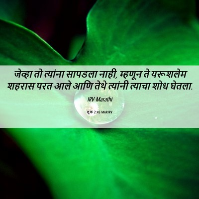 Picture 06 - लूक 2:45 MARIRV - जेव्हा तो त्यांना - Bible Verse Picture