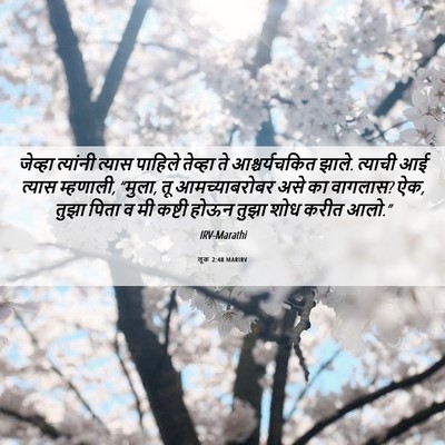 Picture 06 - लूक 2:48 MARIRV - जेव्हा त्यांनी - Bible Verse Picture