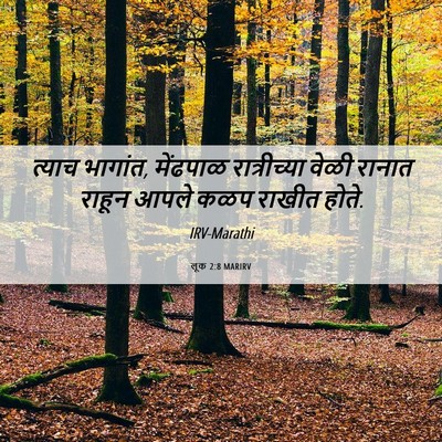 Picture 06 - लूक 2:8 MARIRV - त्याच भागांत, - Bible Verse Picture