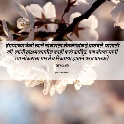 Picture 06 - लूक 20:10 MARIRV - हंगामाच्या वेळी - Bible Verse Picture