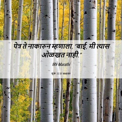 Picture 06 - लूक 22:57 MARIRV - पेत्र ते नाकारुन - Bible Verse Picture