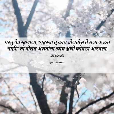 Picture 06 - लूक 22:60 MARIRV - परंतु पेत्र - Bible Verse Picture