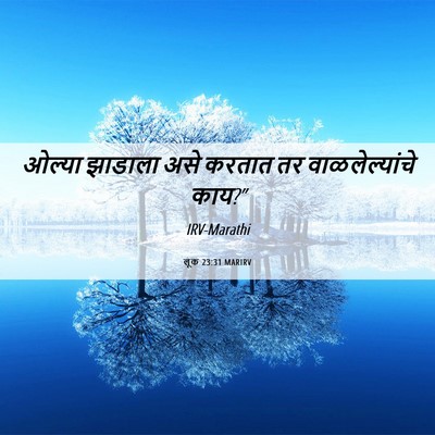 Picture 06 - लूक 23:31 MARIRV - ओल्या झाडाला असे - Bible Verse Picture