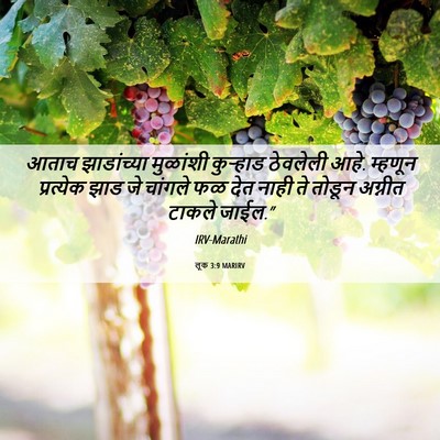 Picture 06 - लूक 3:9 MARIRV - आताच झाडांच्या - Bible Verse Picture