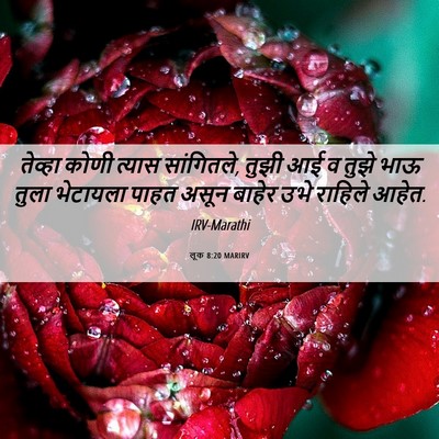 Picture 06 - लूक 8:20 MARIRV - तेव्हा कोणी त्यास - Bible Verse Picture