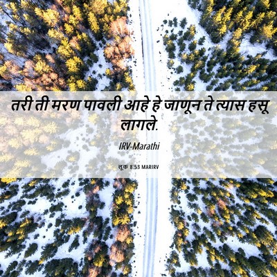 Picture 06 - लूक 8:53 MARIRV - तरी ती मरण पावली - Bible Verse Picture