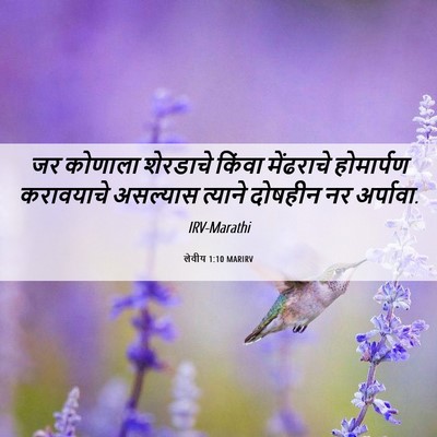 Picture 06 - लेवीय 1:10 MARIRV - जर कोणाला शेरडाचे - Bible Verse Picture