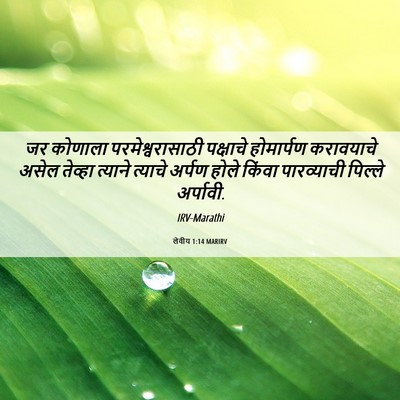 Picture 06 - लेवीय 1:14 MARIRV - जर कोणाला - Bible Verse Picture