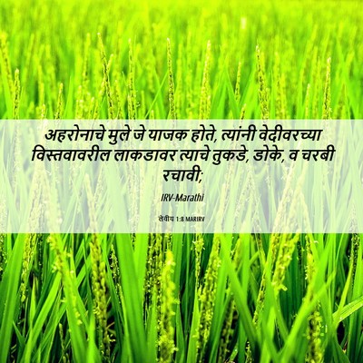 Picture 06 - लेवीय 1:8 MARIRV - अहरोनाचे मुले जे - Bible Verse Picture