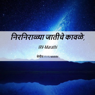 Picture 06 - लेवीय 11:15 MARIRV - निरनिराळ्या - Bible Verse Picture