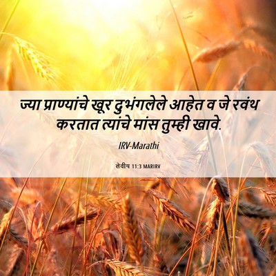 Picture 06 - लेवीय 11:3 MARIRV - ज्या प्राण्यांचे - Bible Verse Picture