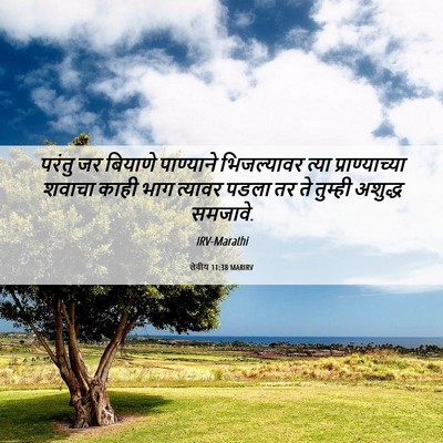 Picture 06 - लेवीय 11:38 MARIRV - परंतु जर बियाणे - Bible Verse Picture