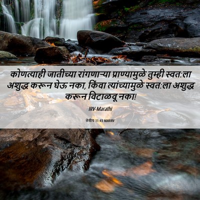 Picture 06 - लेवीय 11:43 MARIRV - कोणत्याही - Bible Verse Picture