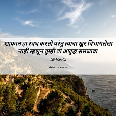 Picture 06 - लेवीय 11:5 MARIRV - शाफान हा रंवथ करतो - Bible Verse Picture