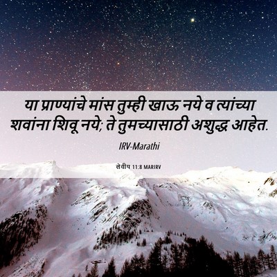 Picture 06 - लेवीय 11:8 MARIRV - या प्राण्यांचे - Bible Verse Picture