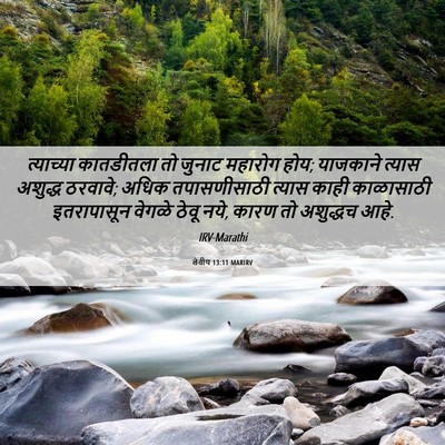Picture 06 - लेवीय 13:11 MARIRV - त्याच्या कातडीतला - Bible Verse Picture