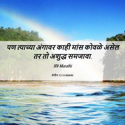 Picture 06 - लेवीय 13:14 MARIRV - पण त्याच्या - Bible Verse Picture