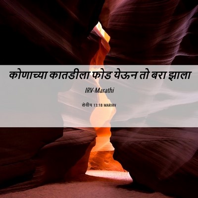 Picture 06 - लेवीय 13:18 MARIRV - कोणाच्या कातडीला - Bible Verse Picture
