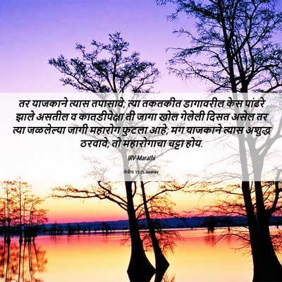 Picture 06 - लेवीय 13:25 MARIRV - तर याजकाने त्यास - Bible Verse Picture