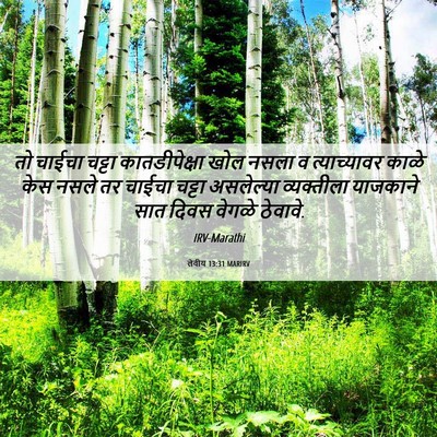 Picture 06 - लेवीय 13:31 MARIRV - तो चाईचा चट्टा - Bible Verse Picture