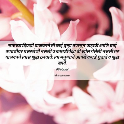 Picture 06 - लेवीय 13:34 MARIRV - सातव्या दिवशी - Bible Verse Picture
