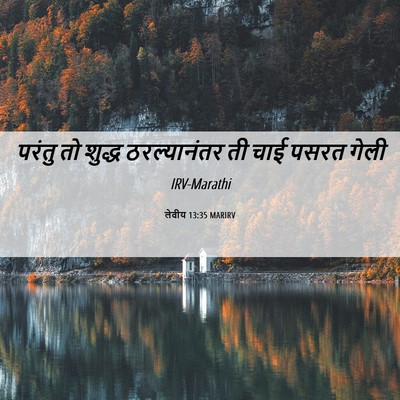 Picture 06 - लेवीय 13:35 MARIRV - परंतु तो शुद्ध - Bible Verse Picture