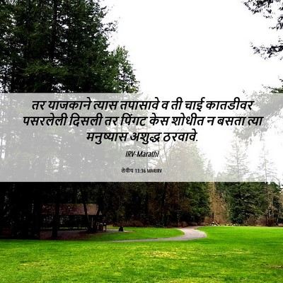 Picture 06 - लेवीय 13:36 MARIRV - तर याजकाने त्यास - Bible Verse Picture