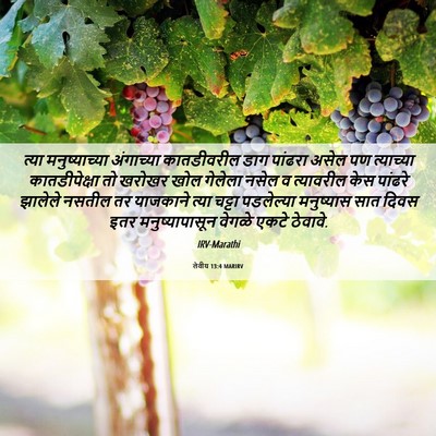 Picture 06 - लेवीय 13:4 MARIRV - त्या मनुष्याच्या - Bible Verse Picture