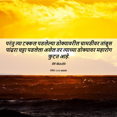 Picture 06 - लेवीय 13:42 MARIRV - परंतु त्या टक्कल - Bible Verse Picture