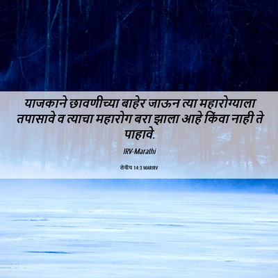 Picture 06 - लेवीय 14:3 MARIRV - याजकाने छावणीच्या - Bible Verse Picture