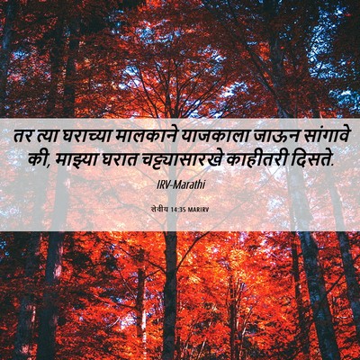 Picture 06 - लेवीय 14:35 MARIRV - तर त्या घराच्या - Bible Verse Picture