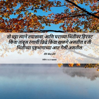 Picture 06 - लेवीय 14:37 MARIRV - तो चट्टा त्याने - Bible Verse Picture